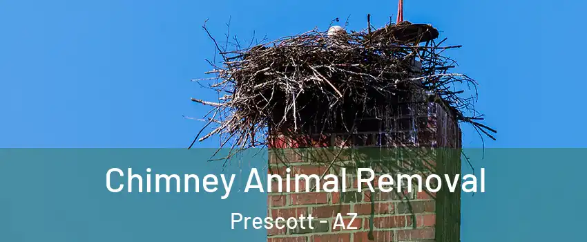  Chimney Animal Removal Prescott - AZ