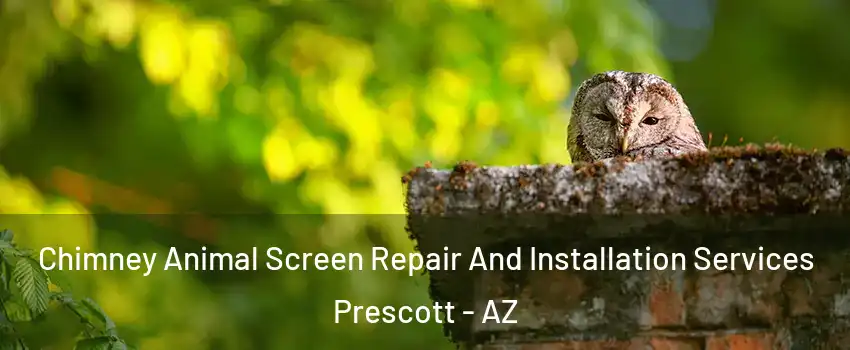  Chimney Animal Screen Repair And Installation Services Prescott - AZ