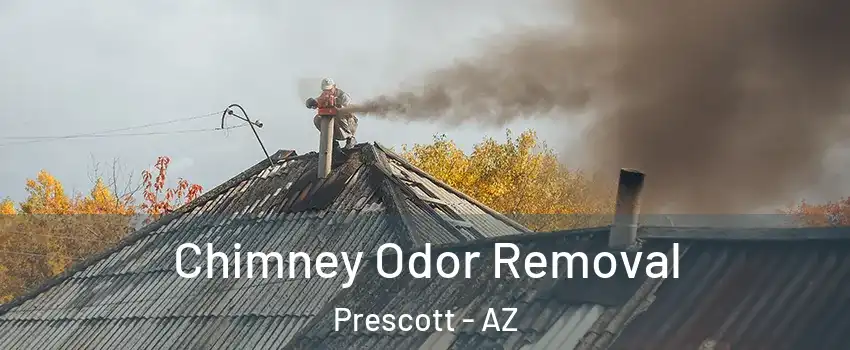  Chimney Odor Removal Prescott - AZ