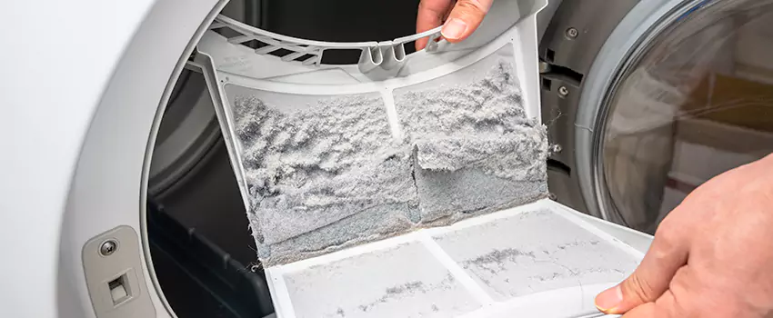 Best Dryer Lint Removal Company in Prescott, Arizona